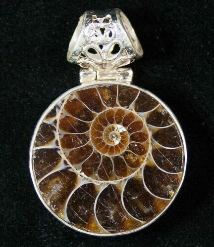 Fossil Ammonite Pendant - Sterling Silver #16770
